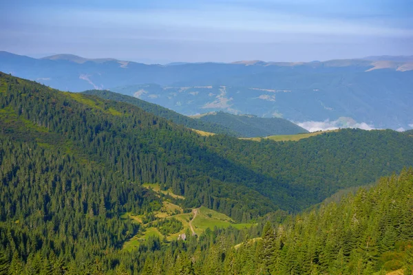 Ukrainian Carpathian Mountains Summer Coniferous Forest Hillside Svydovets Ridge Distance — Photo