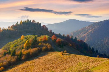trees and meadows on the hills in evening light. colorful mountain landscape in autumn. glowing clouds above the distant ridge