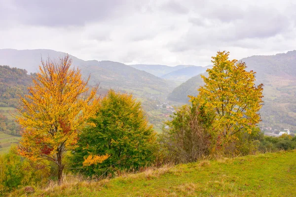 Countryside Landscape Mountains Overcast Weather Autumn Yellow Tree Hills — Stock fotografie