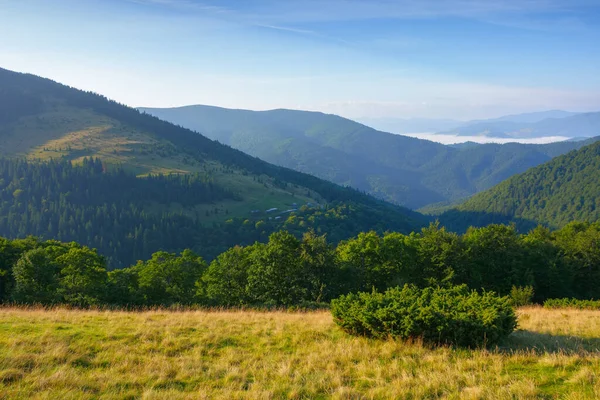 Mountainous Countryside Scenery Morning Light Fog Distant Valley Forested Hills — Photo