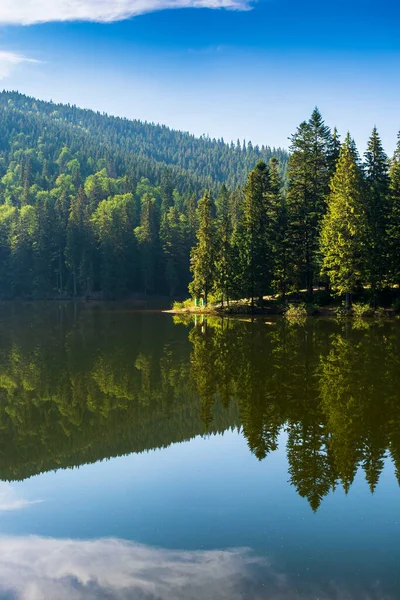 Mountain Landscape Lake Summer Beautiful Forest Scenery Water Scenic Travel — Stockfoto