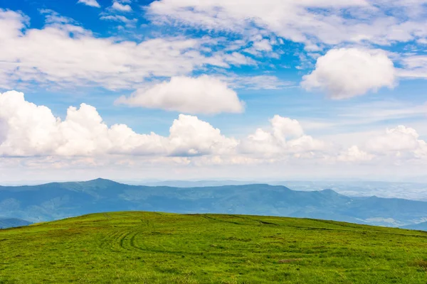 Зеленый Пейзаж Пыльном Свете Травянистые Холмы Карпатских Горных Пейзажей Солнечный — стоковое фото