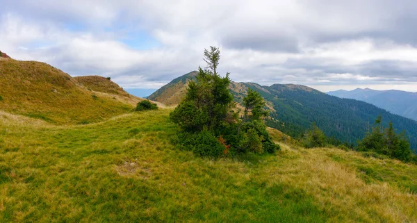 Carpathian Mountain Landscape Autumn Nature Scenery Colorful Grass Strymba Ridge — Stock Photo, Image