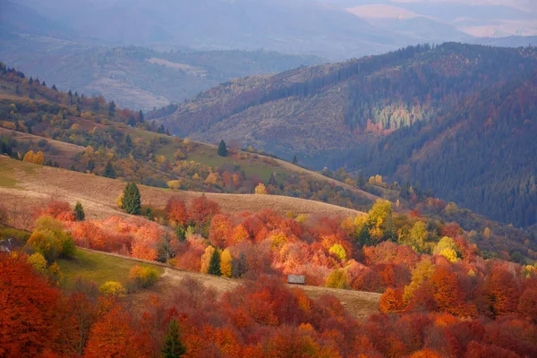 Fabulous View Carpathian Countryside Autumn Colorful Alpine Scenery Dappled Morning — 图库照片