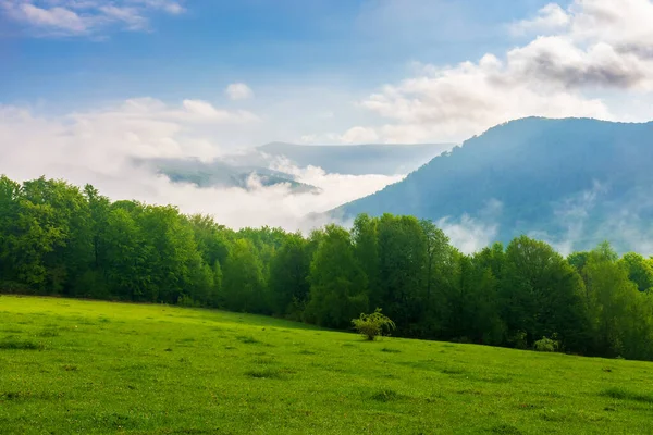 山の緑と青の風景 丘の上に草の牧草地や森 谷の霧と空の雲 平和的な晴れた日の朝に — ストック写真