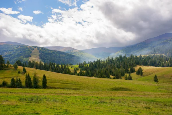 Transcarpathian Rural Landscape Trees Grassy Meadows Hills Foot Borzhava Mountain — Stock fotografie