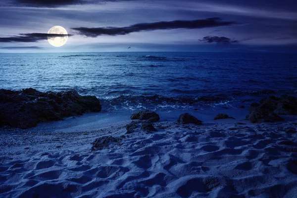 Night Scenery Sea Calm Waves Washing Sandy Beach Full Moon — Stockfoto