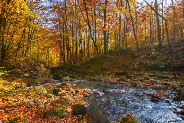 Water Flow Stones Forest Beautiful Nature Scenery Autumn Trees Fall — Zdjęcie stockowe