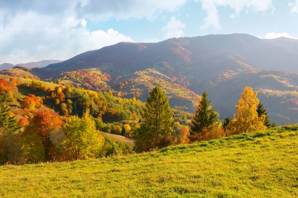 Beautiful Autumn Mountain Landscape Afternoon Colorful Trees Green Hills Evening — Stock fotografie