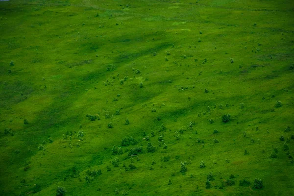 Zelené Travnaté Plochy Pozadí Horská Louka Létě — Stock fotografie