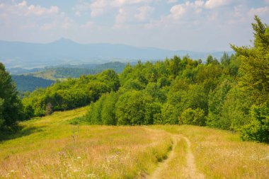 Yazın karpatya kırsal bölgeleri. Tepenin üzerindeki tarlalar ve ormanlar. Akşam ışığında kabarık bulutlarla dolu bir gökyüzünün altındaki dağ sırtı.