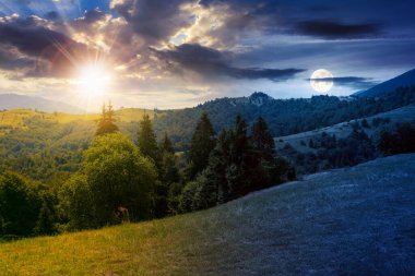 countryside landscape at twilight in summer. day and night time change concept. forested hills and grassy meadows in mountains. fluffy clouds with sun and moon on the gorgeous sky