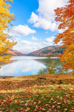 Sonbaharda göl manzarası. Sahilde renkli ağaçlar var. Güneşli bir günde, mavi gökyüzünde kabarık bulutların dalgalı su yüzeyine yansıdığı güzel doğa manzarası.