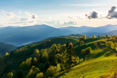 Karpatya kırsal arazisi ilkbaharda gün batımında. Çimenli tepelerdeki ağaçlar akşam ışığında uzak tepelere doğru yuvarlanıyor. Gökyüzünde dinamik bulut oluşumları. güzel doğa arkaplanı