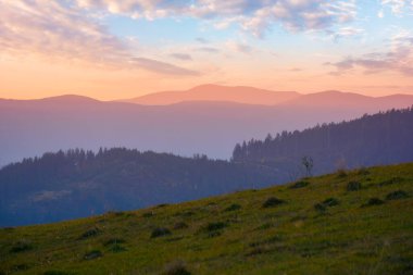 Alacakaranlıkta dağlık kırlarda. yeşil çimenli yuvarlanan tepeler bir sonbahar akşamı. Karpatya kırsal manzarası. Işıl ışıl parlayan gökyüzünün altındaki uzak tepeye bak.