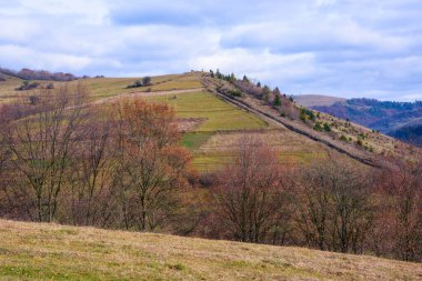 Sonbaharın sonlarında kırsal alan. Rengarenk çimenli tepelerde sonbahar yapraklarında ağaçlar. Bulutlu gökyüzü güneşli. Sakin doğa manzarası