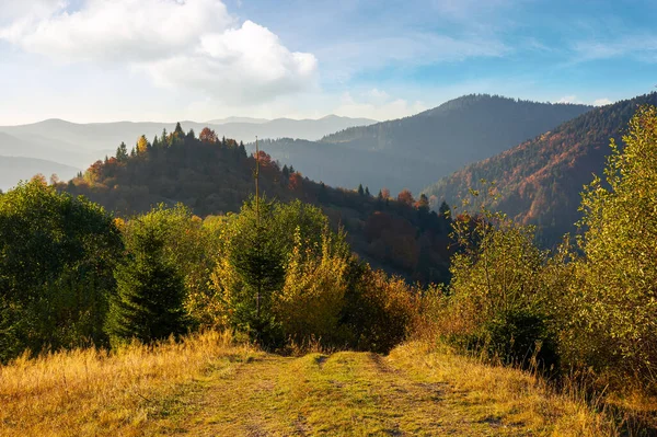 Sonbaharda Dağlık Kırlarda Tepelerde Renkli Yeşillikler Içinde Bir Orman Gökyüzünün — Stok fotoğraf