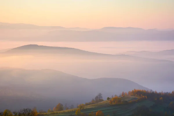 Carpathian Mountains Foggy Sunrise Beautiful Autumn Landscape Forested Rolling Hills — 스톡 사진