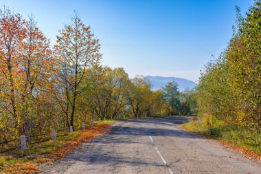 old asphalt rural serpentine in mountains. countryside tourism on a sunny autumn morning. forested hills in colorful foliage. blue sky with fluffy clouds