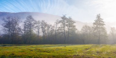Sabah sisinde orman ve çayır manzarası. Dağlık kırsal alan, sisli bir gündoğumunda. Güneşli bir günde harika bir sonbahar doğası.