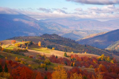 beautiful mountain landscape with valley. sunny morning in carpathian countryside. trees in colorful foliage and rural fields on the hills