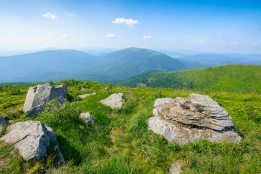 Akşam ışığında Karpat Alp Çayırları. Çimlerin arasında taşlar, tepelerde ağaçlar ve derin vadilerin olduğu güzel dağ manzarası. Uzaktaki açık manzaraya çarpıcı bir manzara