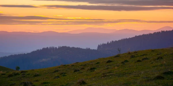 Mountain Rural Landscape Dusk Grassy Meadows Forested Hills Carpathian Countryside — стоковое фото