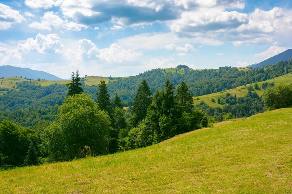 Countryside Landscape Sunny Summer Day Forested Hills Grassy Meadows Mountains — Fotografia de Stock