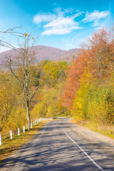 old mountain road in autumn. countryside trip on a warm sunny day. trees along the way in colorful foliage