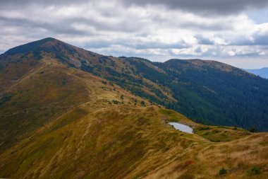 Bulutlu bir sonbahar gününde dağ manzarası. Uzakta tepe noktası. Çimenli çayırlar ve orman tepeleri