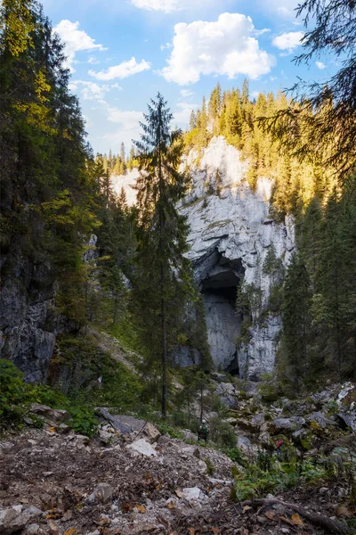 Gorge Cetatile Ponorului Romania Coniferous Trees Rock Cave Discover Apuseni — 스톡 사진
