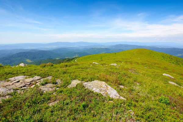 Carpathian Mountain Landscape Summer View Distant Valley Grassy Meadows Forested — Stock fotografie