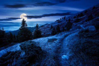 Gece Dağ Tepesi 'nde iz var. Çayırda ağaçların olduğu, dolunay ışığında yıpranmış otların olduğu bir manzara. Bulutlu bir gökyüzünün altındaki sırtta. Karpatların sihirli manzarası
