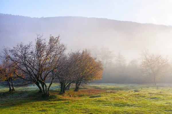 Hornatá Krajina Mlhavého Rána Krásná Podzimní Přírodní Scenérie Při Východu — Stock fotografie