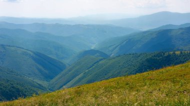 Dağlarda yaz manzarası. Uzak yeşil vadiye bakın. Çimenli çayırlar ve orman tepeleri. güneşli hava