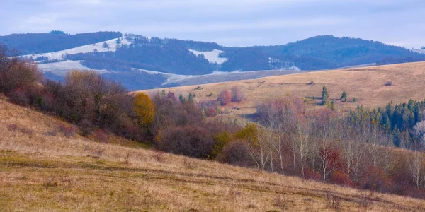 Krajina Konci Podzimu Stromy Podzimním Listoví Barevných Travnatých Kopcích Slunečné — Stock fotografie