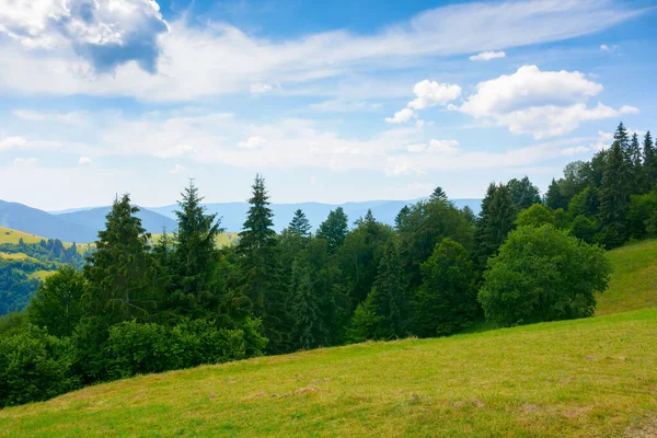 Forest Grassy Meadow Green Summer Landscape Mountains Sunny Weather Clouds — Fotografia de Stock