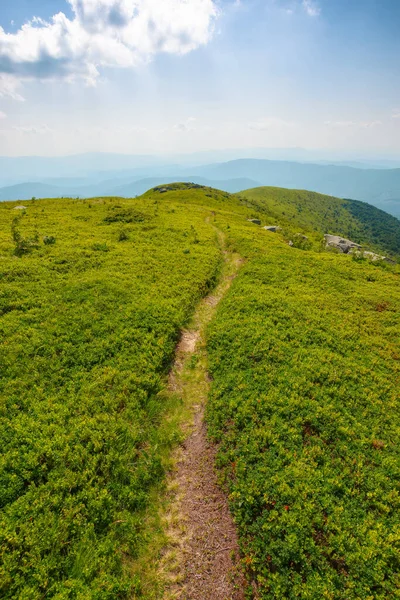 Narrow Foot Path Grassy Hill Summer Vacation Carpathian Mountains Sunny — Stock Photo, Image