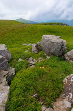 Dik yamaçtaki taşlar ve kayalar. Karpatya kırsalındaki çimenli dağlık çayırlar. Yazın bulutlu gökyüzü ile dağ manzarası