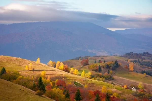 Fabulous View Carpathian Countryside Autumn Colorful Alpine Scenery Dappled Morning — Zdjęcie stockowe