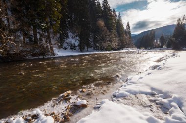 Kışın tereblya nehri. Sahildeki kozalaklı ormanlarla kaplı karlar. Uzakta soğuk bir sabahta bulutlu bir gökyüzünün altında dağlar. Karpatlar beyaz mevsimde tatil yapıyor.