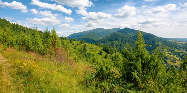 Beauty Carpathian Mountain Landscape Summer Wonderful Green Countryside Scenery Sunny — ストック写真