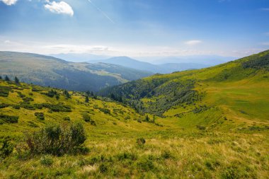 rolling hills and grassy meadows of carpathian. chornohora mountain ridge in the distance on a summer day with clouds on the sky