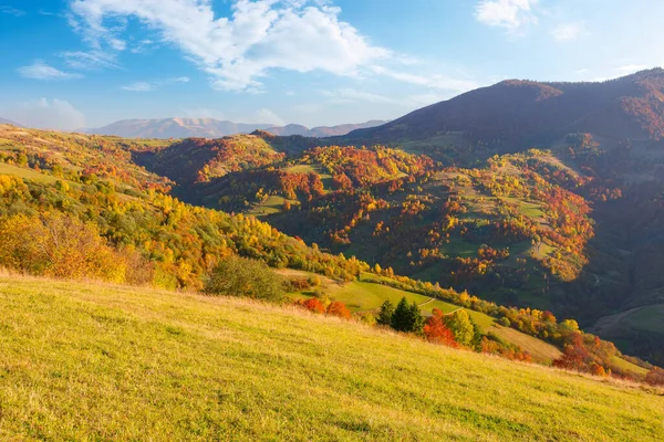 美丽的山景惊艳极了 美丽的风景与山丘 草地和森林 如果秋天的叶子 在阳光灿烂的日子里 田园诗般的自然景观 — 图库照片