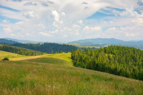Carpathian Countryside Landscape Summer Fields Forest Rolling Hill Mountain Ridge — Stock fotografie