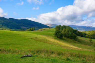 Sonbaharın başlarında dağlık kırsal alan. Benekli ışıkta yaprakları dökülen ağaçlarla dolu çimenli tepeler. Güzel doğa manzarası, gökyüzünün altında uzak sırt, ağır bulutlar.