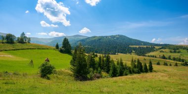 Yazın dağlık kırsal alan. Ormanın yanındaki tepede yeşil otlaklar. Harika güneşli bir hava. Karpatlarda eko-turizm