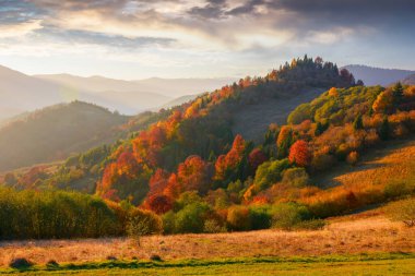 trees and meadows on the hills in evening light. colorful mountain landscape in autumn. glowing clouds above the distant ridge