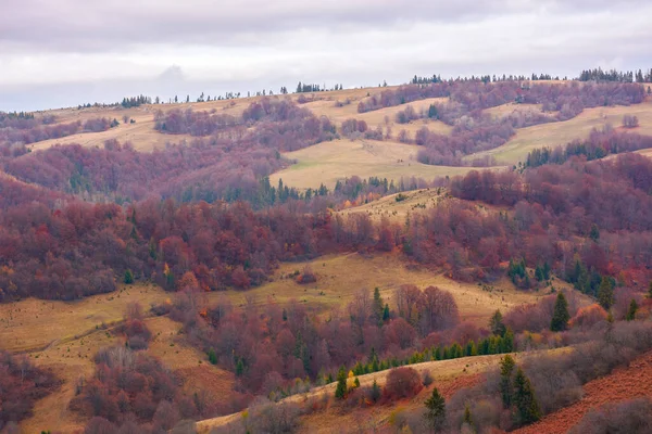 Krajobraz Wiejski Listopadzie Las Jesienią Liści Kolorowych Wzgórzach Toczących Się — Zdjęcie stockowe