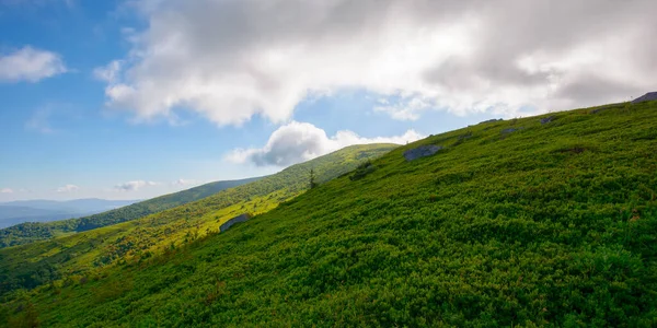 Paesaggio Carpatico Verde Estate Pendii Erbosi Prati Alpini Nuvole Sul — Foto Stock